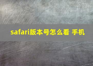 safari版本号怎么看 手机